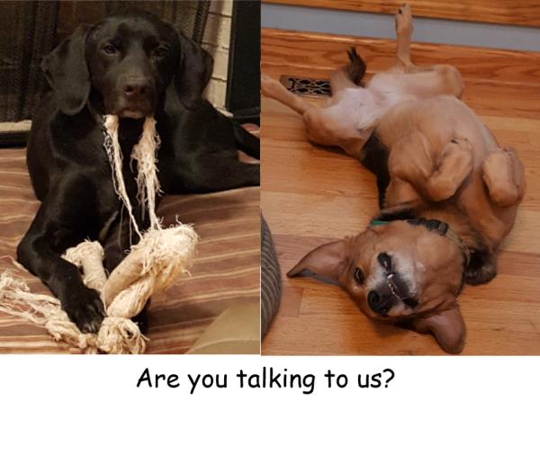 /Images/uploads/Congregation Beth Emeth/bethemeth/entries/17565thumb.jpg